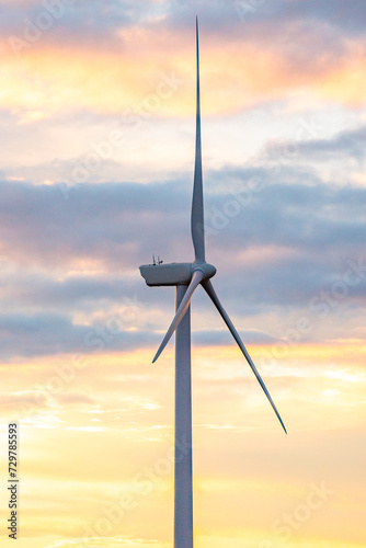 Electricity Generation, Windmills, Mojave, California, Green Energy, Fossil Fuels, Alternative Energy, Renewable Energy, Sustainable, Wind Turbines, Clean Power, Eco-Friendly, Technology
