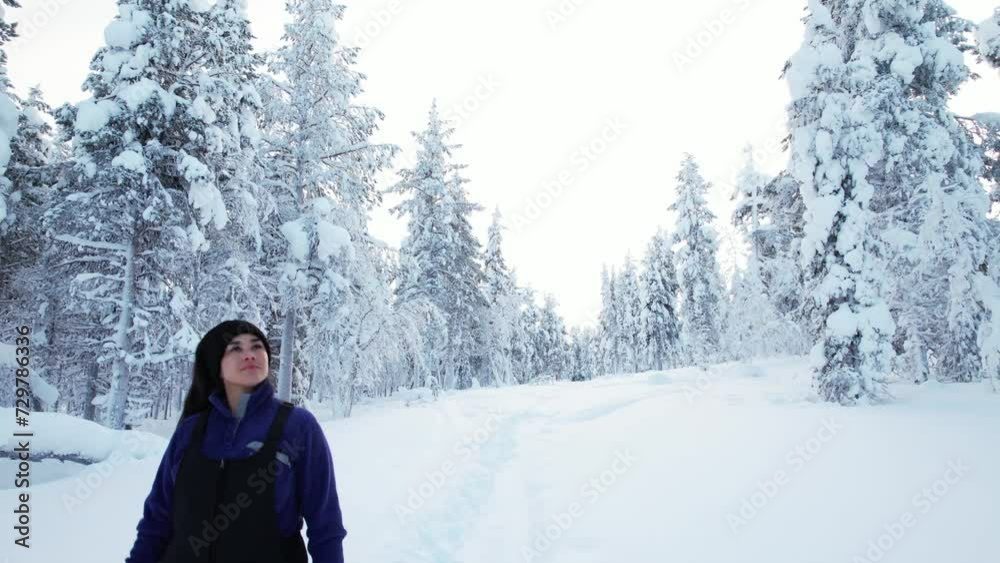 Girl Taking a Stroll In Snowy Landscape, Admiring the Beauty and Trees in Lapland, Finland, Arctic Circle Girl Taking a Stroll In Snowy Landscape, Admiring the Beauty and Trees in Lapland, Finland, Arctic Circle