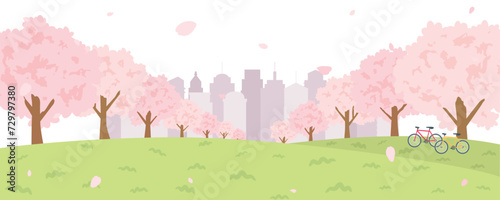 桜並木　春の風景