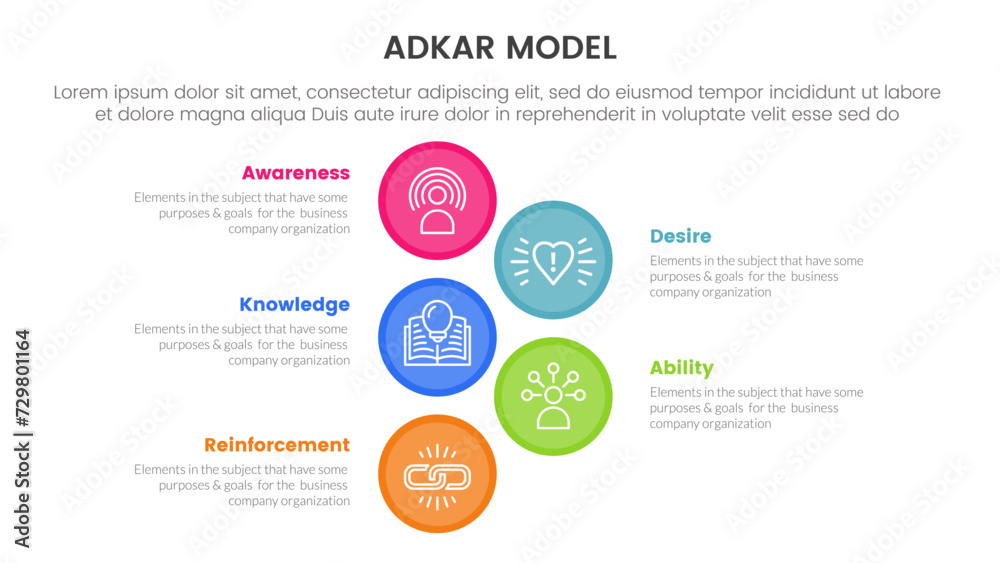 Naklejka premium adkar model change management framework infographic with big circle vertical 5 step points for slide presentation