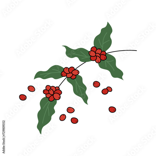Coffee tree branch doodle vector illustration. Natural coffee berries plant isolated element. Simple hand drawn object