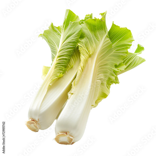 Endive, transparent background, isolated image, generative AI