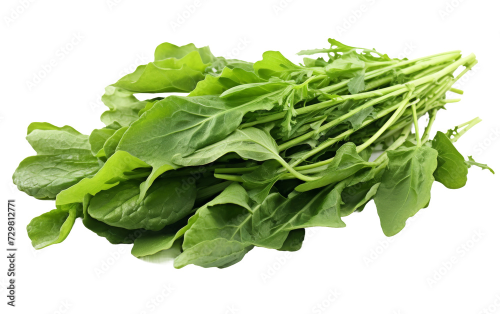 Arugula Greens Isolated on a White Background Arugula Greens Isolated on a White Background