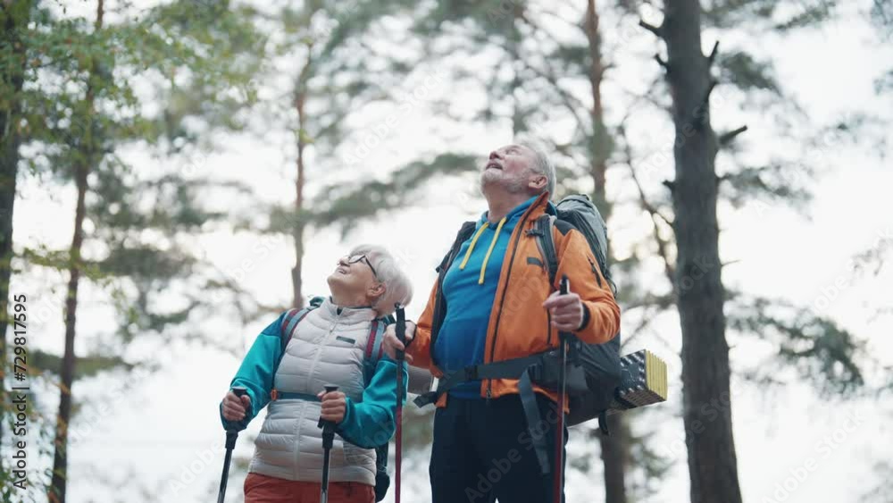 Senior hikers hike on nature autumn landscape holding nordic sticks talking discussing route. Tourists man woman trekking carrying backpacks with touristic equipment. Nordic walking tourism concept. Senior hikers hike on nature autumn landscape holding nordic sticks talking discussing route. Tourists man woman trekking carrying backpacks with touristic equipment. Nordic walking tourism concept.
