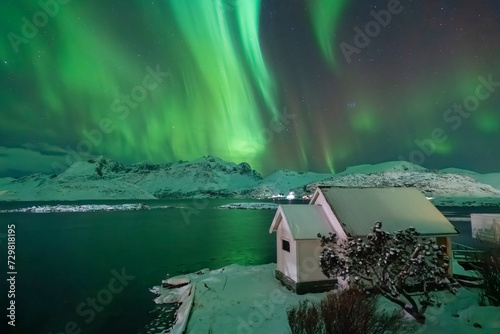 Norway Lofoten Islands winter snow-covered geography northern lights at night green colored aurora borealis in the sky