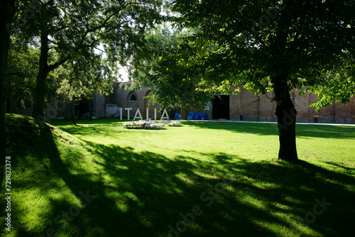Lush shady tree in summer park