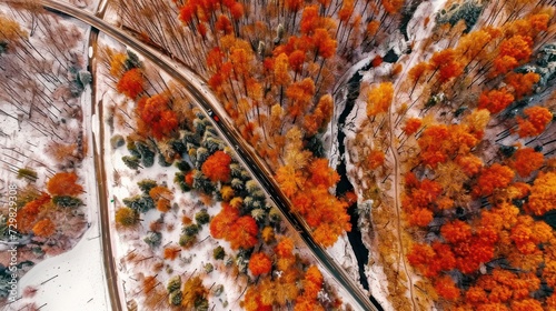  an aerial view of a road surrounded by trees with orange and yellow leaves on the trees and the road in the foreground is an aerial view from a bird's eye point.