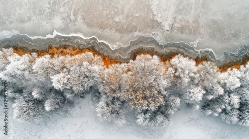  a group of trees covered in snow next to a forest filled with lots of orange and white trees covered in snow next to a body of water with ice on top of water. © Olga