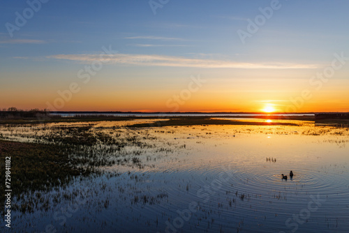 Beautiful sunset at a wetland with ducks in the water