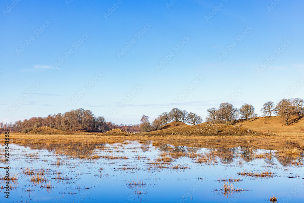 Flooded meadow with a hilly lakeshore a sunny spring day