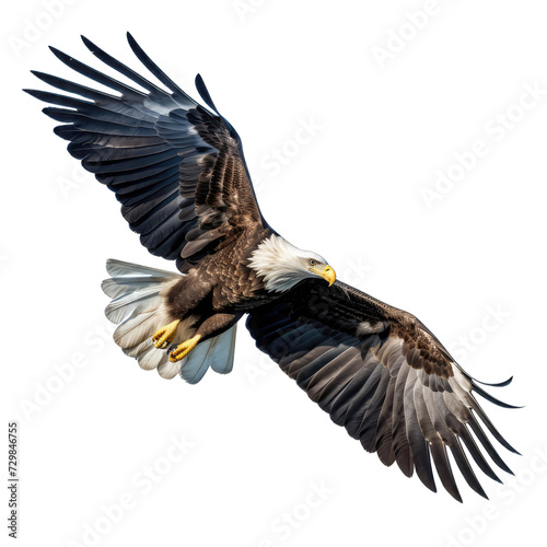American Eagle in Flight. Majestic Bird in Action. Isolated on a Transparent Background. Cutout PNG. © Peter