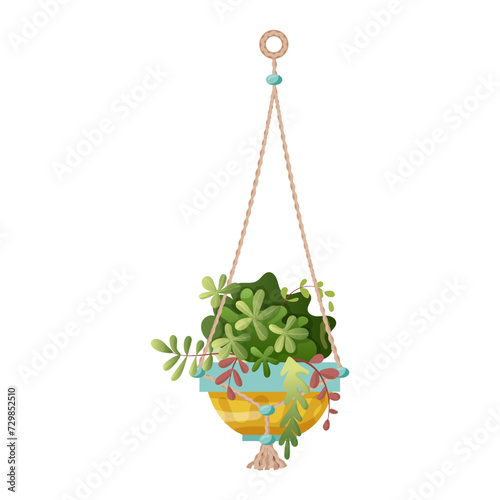 Houseplant and macrame plant growing in pots. Beautiful handmade home decorations macrame plants isolated on white background. Cartoon flat illustration.