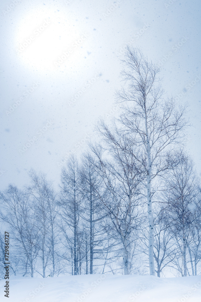 Fototapeta premium 凍りついた木 frozen tree