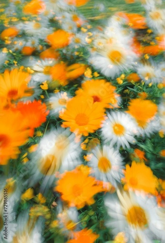 flower s background in orange and white