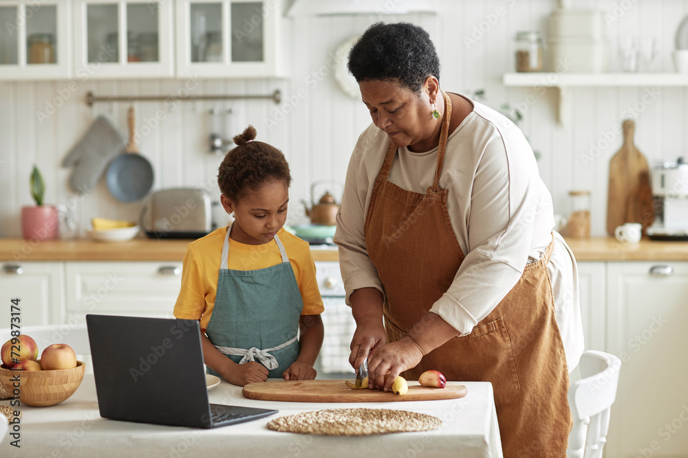 Medium long shot of African American girl wearing apron watching her grandmother cutting fruits for breakfast Medium long shot of African American girl wearing apron watching her grandmother cutting fruits for breakfast