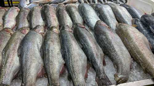 Fresh Large Sea Fish Trout On Counter In Fish Shop