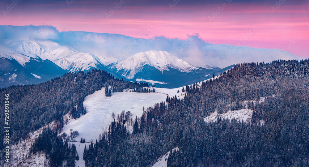 Obraz premium Untouched winter landscape. Chornogora mountain range in the morning mist. Colorful winter sunrise in the mountain forest, Il'tsi village location, Ukraine. Beauty of nature concept background.