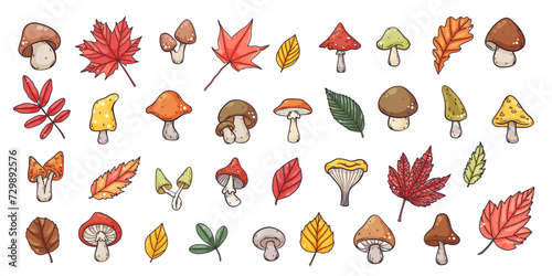 Big set of hand drawn autumn mushrooms and leaves elements, hand drawn cute cartoon colourful style, vector illustration