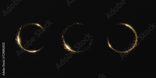 Month made of gold particles.shining sparkles.Frame.Vector image of a golden sparkling circle of stardust.