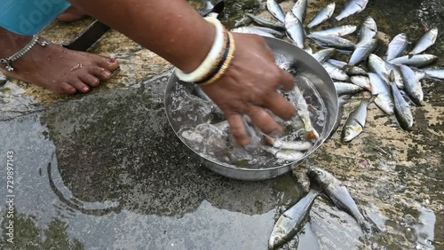 Indian woman's hand cleaning fish. slow motion video. Rohu fish. It is a species of fish of the carp family. its other names rui fish, roho labeo, Labeo rohita. photo