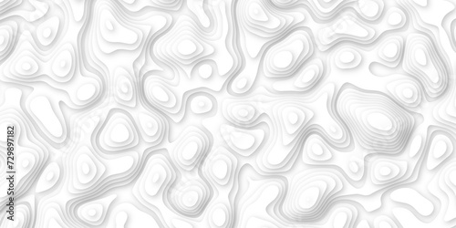  3d render, abstract white paper background. Paper cut vector art background banner texture. multi layer cutout geometric pattern on vector, Abstract soft white background with waves.