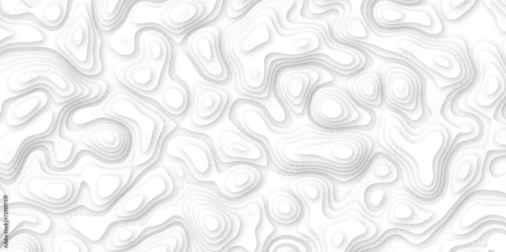 3d render, abstract white paper background. Paper cut vector art background banner texture. multi layer cutout geometric pattern on vector, Abstract soft white background with waves. 3d render, abstract white paper background. Paper cut vector art background banner texture. multi layer cutout geometric pattern on vector, Abstract soft white background with waves.