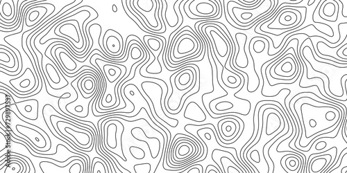 abstract white wave paper curved reliefs background. Topography map pattern, Geographic curved, vector illustration. seamless textrue, vintage waves. Panorama view multicolor wave curve line.