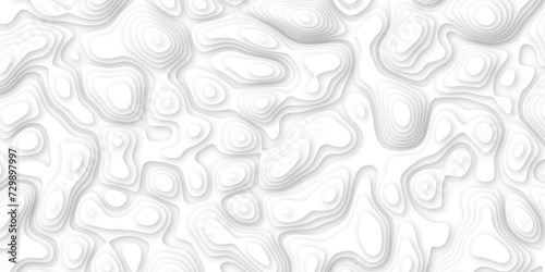 3d render, abstract white paper background. Paper cut vector art background banner texture. multi layer cutout geometric pattern on vector, Abstract soft white background with waves.