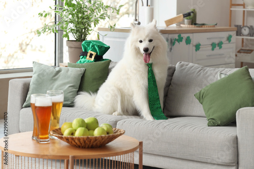 Cute Samoyed dog with green necktie sitting on sofa at home. St. Patrick's Day celebration