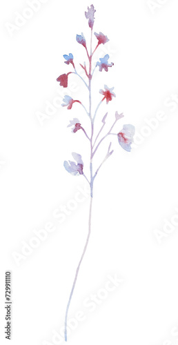 Watercolor light purple wildflower isolated illustration  floral wedding and greeting element
