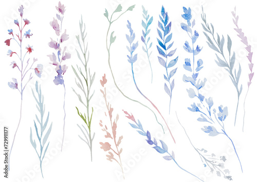 Watercolor pink and blue twigs and leaves isolated illustration, pastel wedding element
