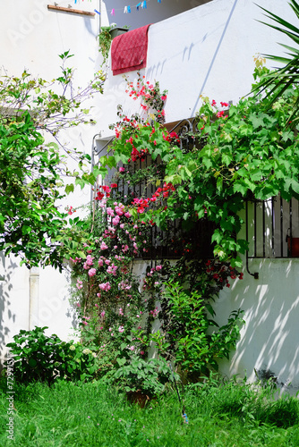 Pink blossoms curl into the balcony