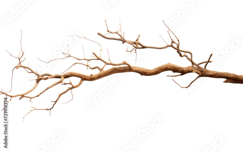 Prepare for a Roaring Campfire with a Bundle of Dry Branches on a White or Clear Surface PNG Transparent Background.