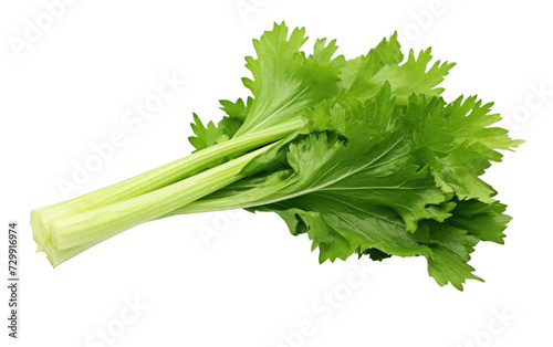 Celery Leaves, Elevating Dishes with a Touch of Natural Sophistication on a White or Clear Surface PNG Transparent Background.