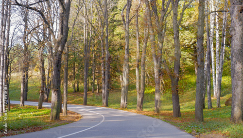 Obraz na płótnie Road lane in autumn park w salonie