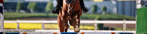 Fototapeta Naklejka Na Ścianę i Meble -  Horse close-up show jumping competition.