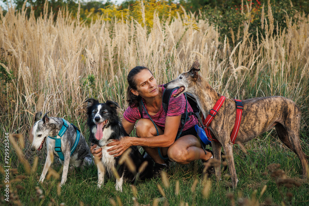 Woman with her dogs resting during dog walking outdoors. Female pet owner or animal trainer doing obedience training Woman with her dogs resting during dog walking outdoors. Female pet owner or animal trainer doing obedience training
