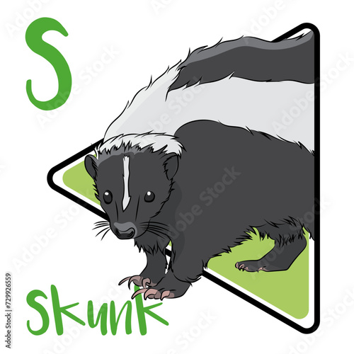 Skunks are omnivores. Skunks are not affected by snake venom. This animal’s traditional black and white coat makes it easily recognizable. A group of skunks is called a surfeit. Primarily nocturnal.