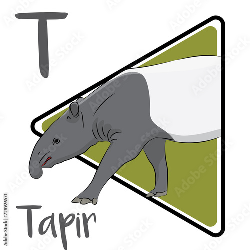 A tapir   s most notable feature is its unique prehensile nose. Tapirs are helpful to their native landscape in many ways. Tapirs are largely nocturnal and crepuscular. Tapirs lead almost solitary.