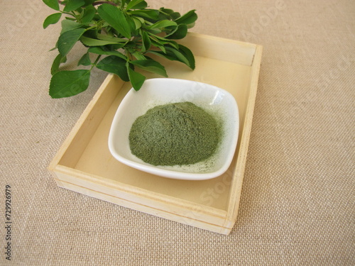 Green alfalfa powder from the leaves of cultivated lucern