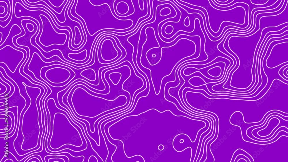 Topographic Map Animated Background Topographic Map Animated Background
