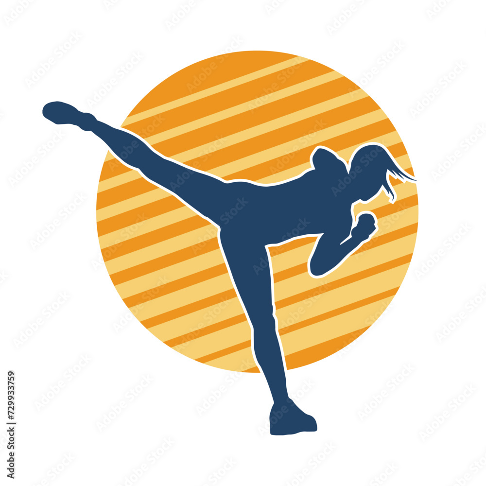 
Silhouette of a woman doing a martial art kick. Silhouette of a sporty female doing kicking movement.
