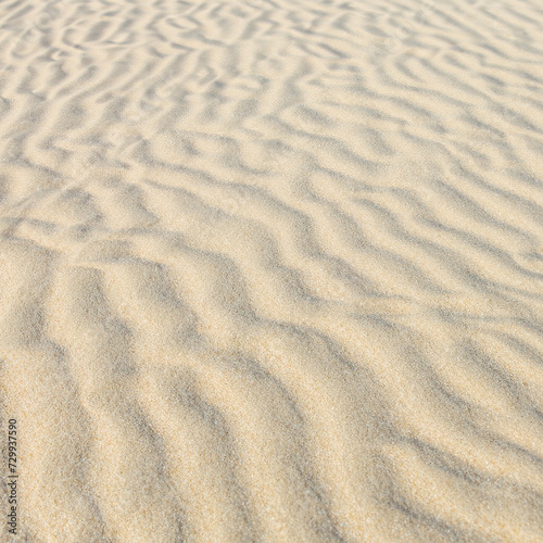White sandy beach or desert sand dunes tileable texture. 