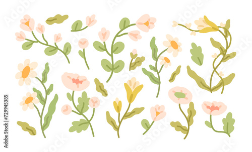 Flowers set. Spring blooms, blossomed branches, floral design elements. Summe...