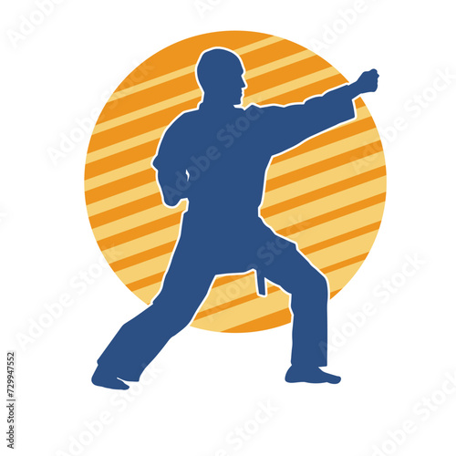 Silhouette of a man in oriental martial art pose. Silhouette of a male in martial art move.