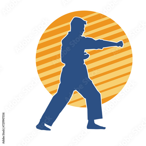 Silhouette of a man in oriental martial art pose. Silhouette of a male in martial art move.