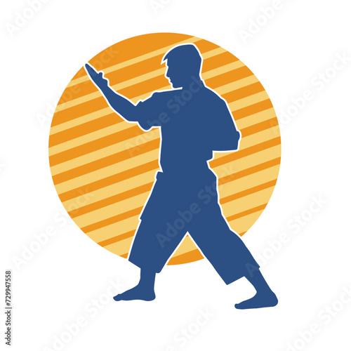 Silhouette of a man in oriental martial art pose. Silhouette of a male in martial art move.