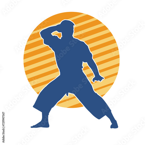 Silhouette of a man in oriental martial art pose. Silhouette of a male in martial art move.
