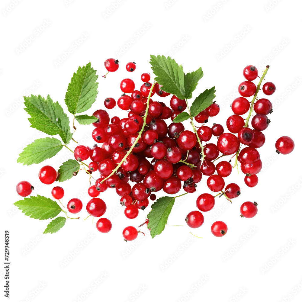 Red currant png. cranberries Vaccinium oxycoccus fruits, top view isolated on transpalate background Red currant png. cranberries Vaccinium oxycoccus fruits, top view isolated on transpalate background