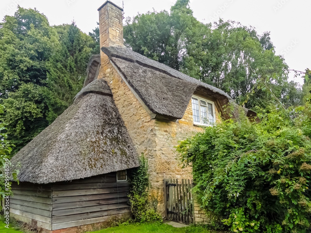 Fototapeta premium thatched cottage